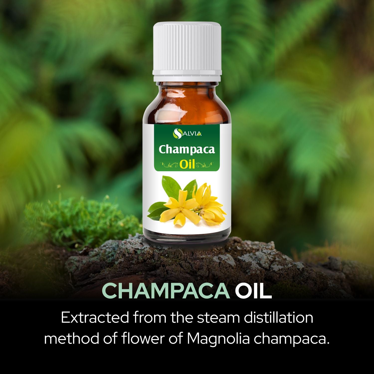 Salvia Natural Essential Oils,Dandruff,Greasy Oil,Anti Fungal,Anti-fungal Oil,Oil for Greasy Hair Champaca Oil Salvia Natural Essential Oils,Dandruff,Greasy Oil,Anti Fungal,Anti-fungal Oil,Oil for Greasy Hair Champaca Oil